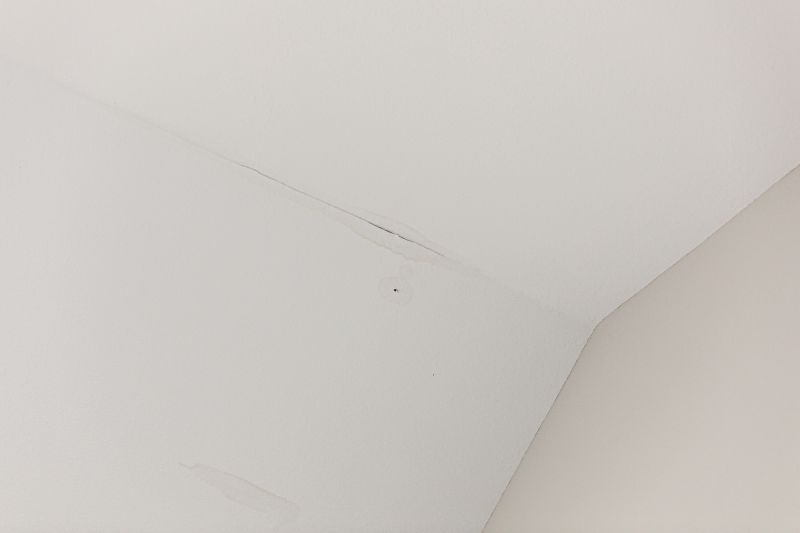 Attic Water Damage Repair in Littleton, CO